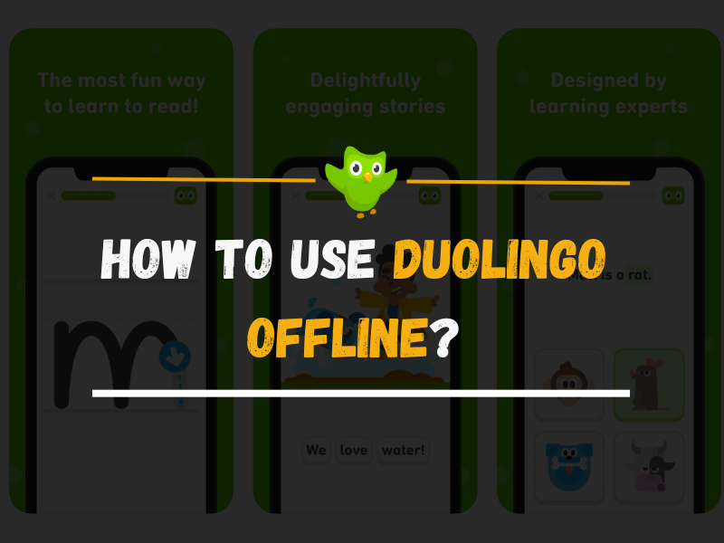 How To Use Duolingo Offline