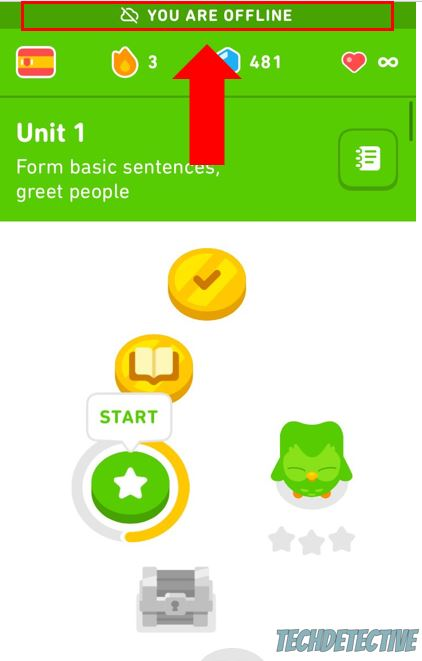 Ways to Use Duolingo Offline : Complete More Lessons Online