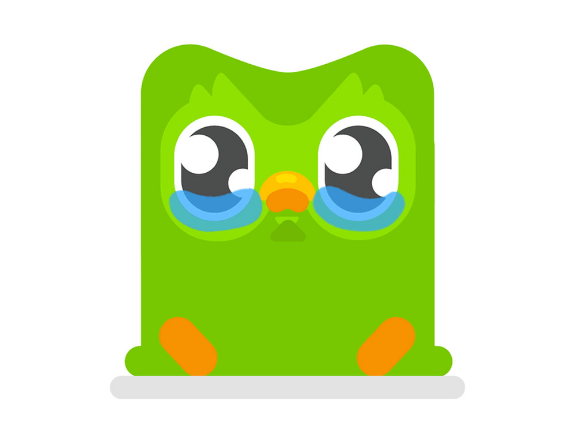 Duolingo Waste of Time