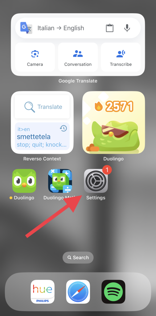 Get Duolingo Max here