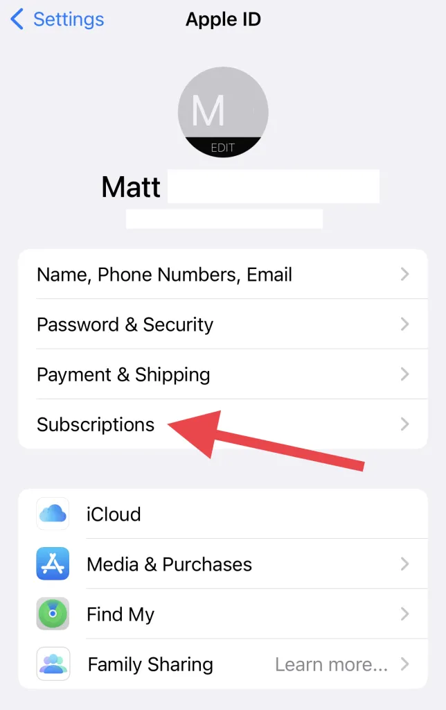 How you can subscribe Duolingo Max?