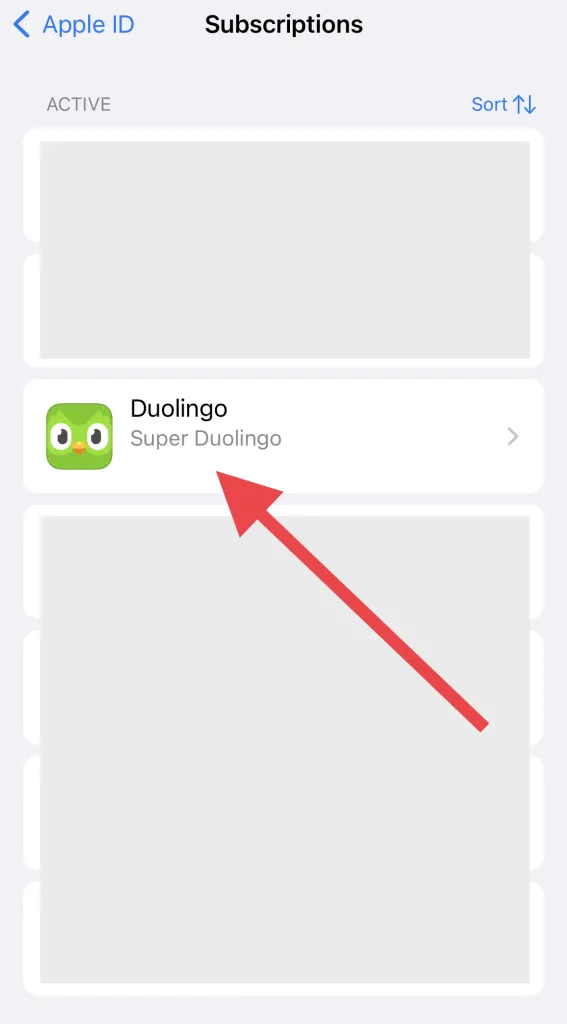 How you can Get Duolingo Max?