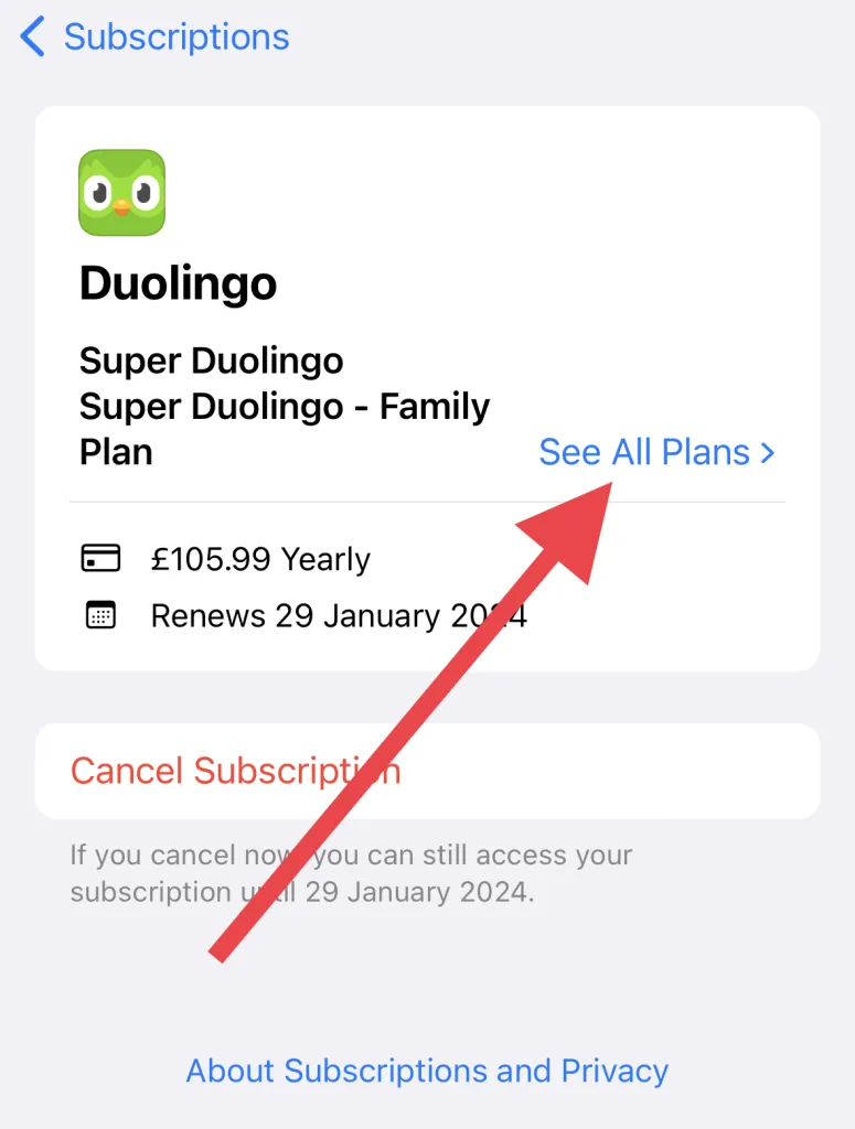 see plans to get Duolingo Max