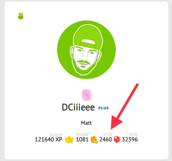 steps to Find the duolingo Longest Streak record holder