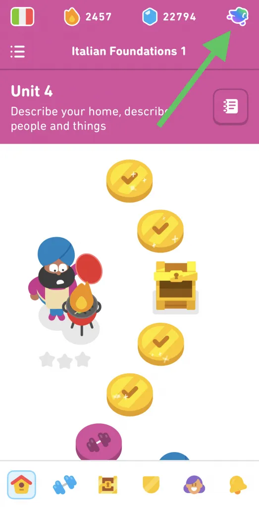 setting duolingo app icon
