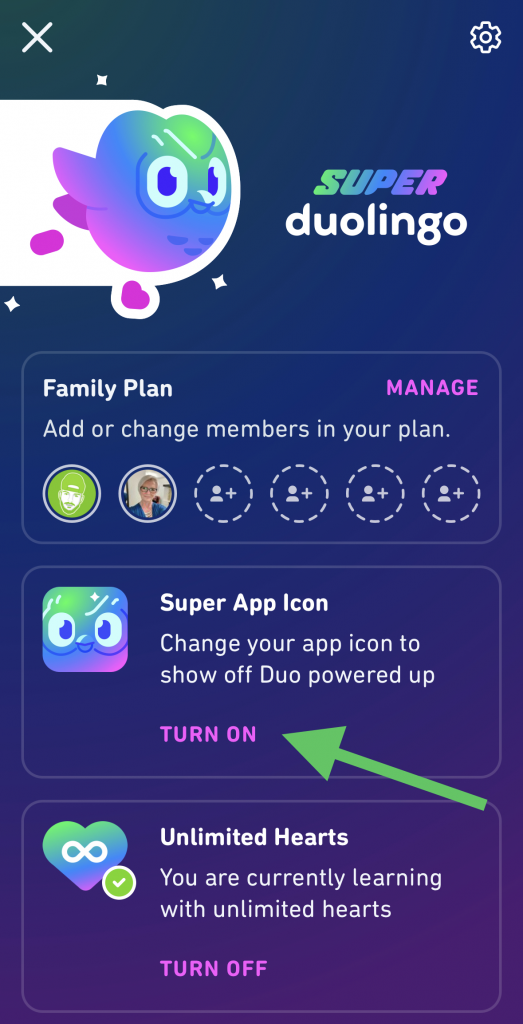 get here steps to change duolingo app icon