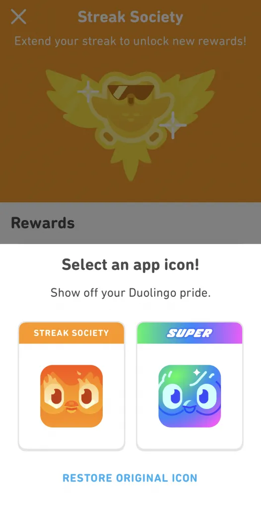 process to Change Duolingo App Icon