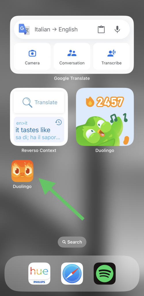 changing icon of duolingo app